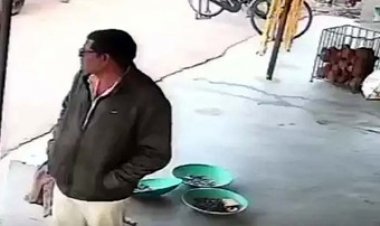 धान का सत्यापन करने किसानों से हजारों रुपए ले रहा पटवारी, किसान परेशान, वीडियो सोशल मीडिया पर जमकर वायरल