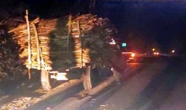 यूकेलिप्टस पेड़ की कटाई करने वालों की गाड़ी से गिरे मजदूर, ट्रक से टकराई राष्ट्रीय राज्यमार्ग में ट्रेक्टर, ओवरलोड बनी वजह