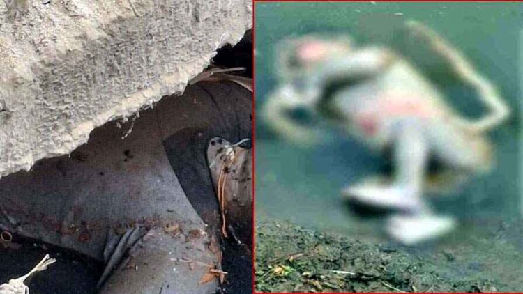 तालाब में तैरता मिला नवजात शिशु का शव, ग्रामीण आक्रोशित, नाले में मिली लाश, इलाके में फैली सनसनी, जांच में जुटी पुलिस