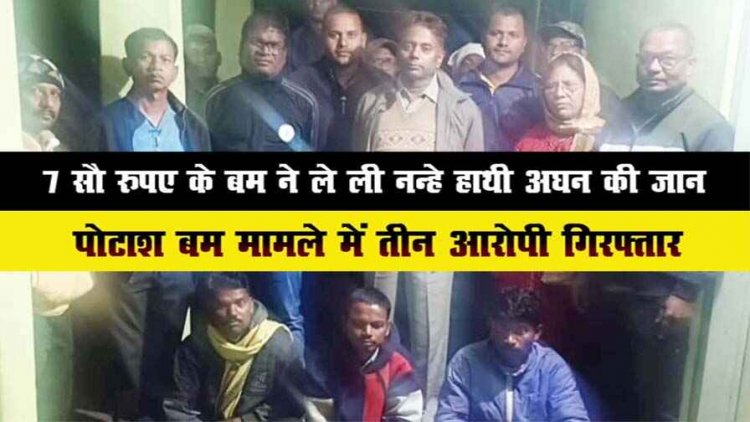 हाथी के शावक अघन की मौत का निकला ओडिशा कनेक्शन, आरोपियों को 700 रुपए में मिला पोटाश बम, 3 आरोपी गिरफ्तार