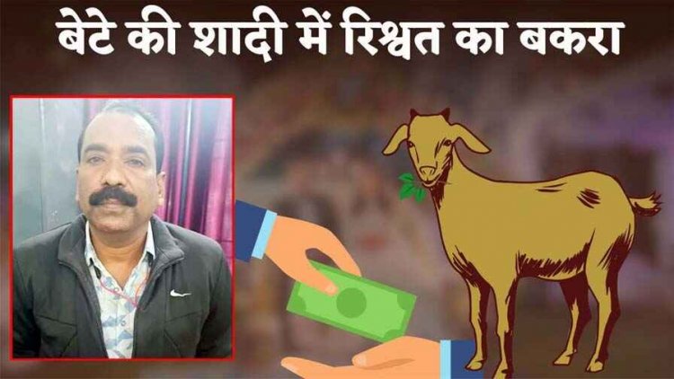 बेटे की शादी के लिए मांगा बकरा और 50 हजार रुपये, ACB ने धर दबोचा, तहसील कार्यालय का बाबू बहाली के एवज में कोटवार से रिश्वत लेते गिरफ्तार