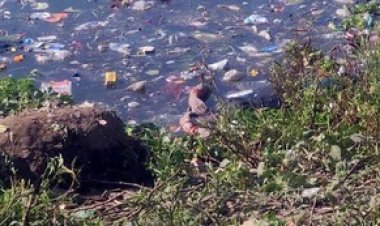 राजधानी की महादेव घाट खारुन नदी में पानी मे तैरते मिली महिला की लाश, इलाके में मचा हडकंप, हत्या या कुछ और? जांच में जुटी पुलिस