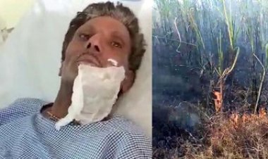 गन्ने की फसल में लगी भीषण आग, 17 एकड़ की फसल जलकर राख, किसानों में भरी आक्रोश, केमिकल प्लांट में आगजनी से 2 मजदूर घायल