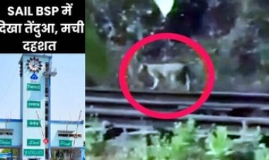 भिलाई स्टील प्लांट के परिसर में दिखा तेंदुआ, मचा हड़कंप, वन विभाग के अधिकारी व मैत्रीबाग की टीम तैनात, दहशत में काम कर रहे कर्मचारी