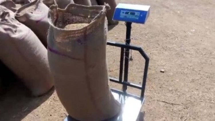 फिर मंडी से पकड़ा गया 52 लाख से ज्यादा का अवैध धान, व्यवस्था की खुलने लगी पोल, किसानों के नाम पर सभी हो रहे मालामाल, आखिर जिम्मेदार कौन?