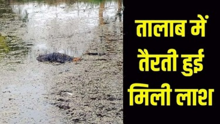 दो दिन से लापता कोटवार की तालाब में तैरती मिली लाश, इलाके में फैली सनसनी, कत्ल या खुदकुशी या कुशह और, पुलिस कर रही मामले की जांच