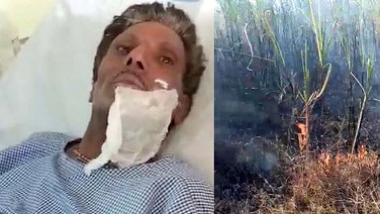 गन्ने की फसल में लगी भीषण आग, 17 एकड़ की फसल जलकर राख, किसानों में भरी आक्रोश, केमिकल प्लांट में आगजनी से 2 मजदूर घायल