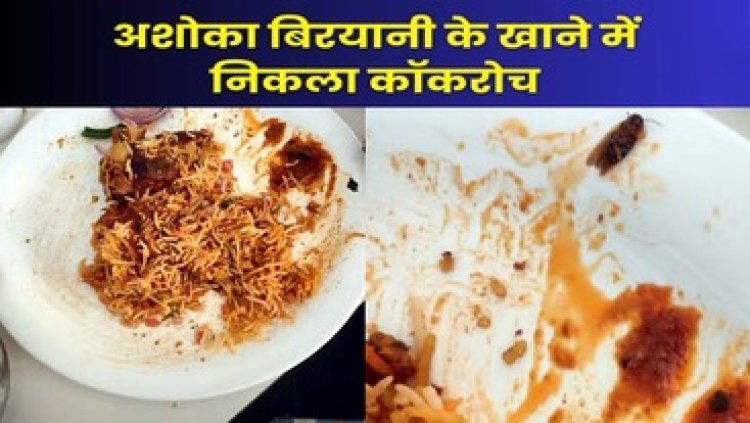 रायपुर के न्यू अशोका बिरयानी रेस्टोरेंट के खाने में मिला कॉकरोच, किचन में बासी मटन और चिकन, सोशल मीडिया जमकर हो रहा वायरल