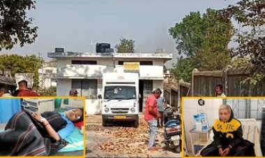 मधुमक्खियों के झुंड ने लोगों पर किया हमला, मचा हड़कंप, एक की मौत, 3 घायल, अस्पताल में चल रहा इलाज, शहर वासियों में दहशत का माहौल