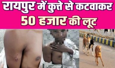 रायपुर में कुत्ते से कटवाकर 50 हजार की लूट, नाबालिग पेट्रोल खत्म होने पर पान ठेला में रुका, बदमाशों ने पीछे कुत्ता छोड़ा, जांच में जुटी पुलिस