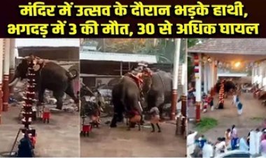पटाखों की गूंज से बौखलाए हाथियों ने मचाया कोहराम, मंदिर उत्सव के दौरान बेकाबू हुए हाथी, भगदड़ में 3 लोगों की मौत, 30 से ज्यादा घायल