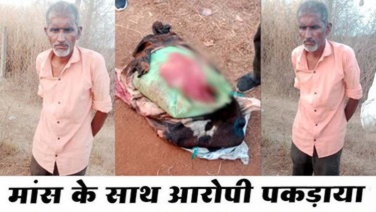 रायपुर में बुजुर्ग के पास से गौ-मांस पकड़ाया, बोरी में बांधकर घर ले जाने के दौरान गौ-रक्षकों ने रोका, आरोपी के खिलाफ मामला दर्ज, ग्रामीणों में आक्रोश