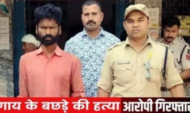 भिलाई में पड़ोसी की गाय के बछड़े की बेरहमी से क्रूरतापूर्वक हत्या, लाश को बोरी में भरकर नाले में फेंका, ब्‍लेड से गला रेतने वाला आरोपी गिरफ्तार