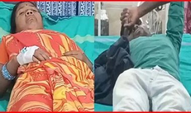 पानी में मरी हुई छिपकली, एक ही परिवार के चार लोग फूड पॉइजनिंग के शिकार, मचा हड़कंप, पति-पत्नी और बेटी-दामाद का इलाज जारी