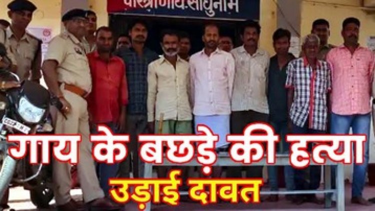 होली त्यौहार में गाय के बछड़े को क्रूरतापूर्वक वध कर सिर धड़ से किया अलग, खाया मांस, पुलिस ने किया आठ आरोपियों को किया गिरफ्तार