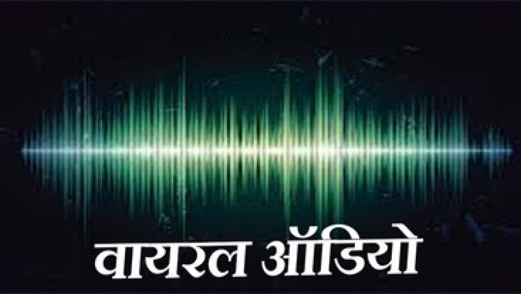 महिला अधिकारी ने लाइन इंस्पेक्टर से किया गाली-गलौज, ऑडियो वायरल होने पर मचा बवाल, बिजली कर्मचारी संघ ने जताया कड़ा विरोध