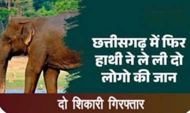 महुआ बीनने गए ग्रामीणों को हाथी ने कुचला, दो लोगों की मौत, इलाके में दहशत, शिकार मामले में दो शिकारी गिरफ्तार, वन्य प्राणी के मांस जब्त