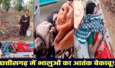 भालू ने मचाया आतंक, तीन महिलाओं पर भालुओं ने किया जानलेवा हमला, एक महिला की हालत नाजुक, मचा हड़कंप, गांव में दहशत का माहौल