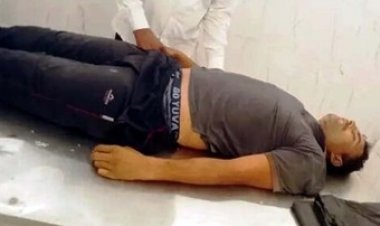 जिंदगी की कीमत लकड़ी से भी कम, खुलेआम नीलगिरी की कटाई, भारी टहनी टूटकर सीने पर गिरने से मजदूर की मौत, विकास की आड़ में उजड़ रहे जंगल