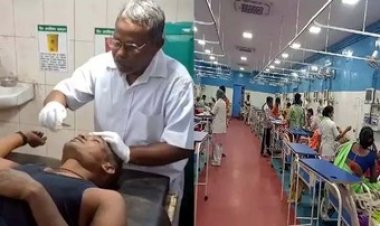 शादी घर फूड पॉइजनिंग, 40 से ज्यादा लोग बीमार, मधुमक्खी हमले में काला पड़ा युवक का चेहरा, मवेशी की मौत, दहशत का माहौल