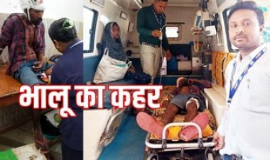 जंगल में भालू का जानलेवा हमला, तेंदूपत्ता बांधने रस्सी तोड़ने गए युवक की हालत नाजुक, रायपुर रेफर, वन विभाग ने किया सावधानी बरतने की अपील