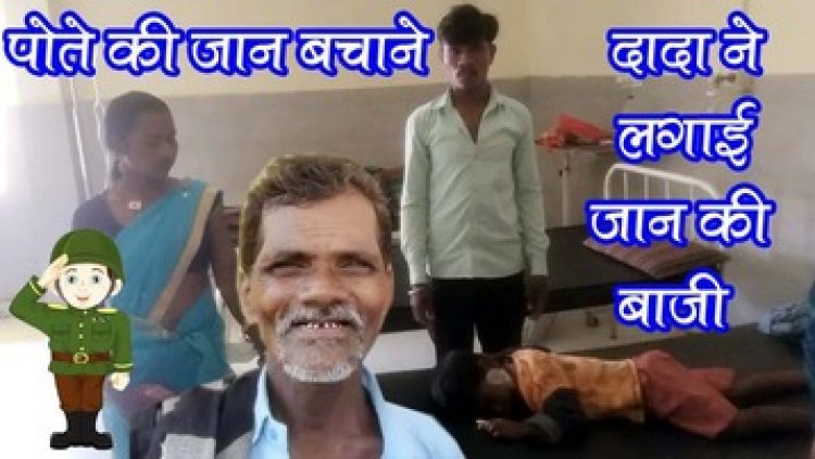 चार साल के मासूम मासूम पर जानलेवा हमला, दादा दर्शन ने दिखाई शेर जैसी बहादुरी, लगाई जान की बाजी, तेंदुए के खौफ से गांव में दहशत