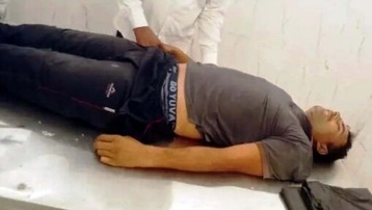 जिंदगी की कीमत लकड़ी से भी कम, खुलेआम नीलगिरी की कटाई, भारी टहनी टूटकर सीने पर गिरने से मजदूर की मौत, विकास की आड़ में उजड़ रहे जंगल