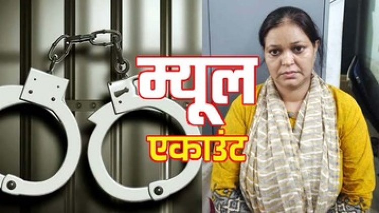 ब्यूटी पार्लर के बैंक खाते से 5 करोड़ का ट्रांजेक्शन, आरोपी महिला गिरफ्तार, 111 खातों की जांच जारी, जल्द होगा चौकाने वाले नामों का खुलासा