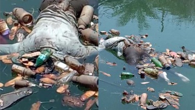 पांडुका के नहर में तैरता मिला युवक का शव, लाश मिलने से मचा इलाके में मचा हड़कंप, हत्या की आशंका, मृतक की हुई पहचान