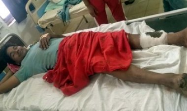 गरियाबंद के जंगल में भालू का आतंक, तेंदूपत्ता तोड़ने गए दो ग्रामीणों पर जानलेवा हमला, ग्रामीण जख्मी, इलाके में दहशत का माहौल