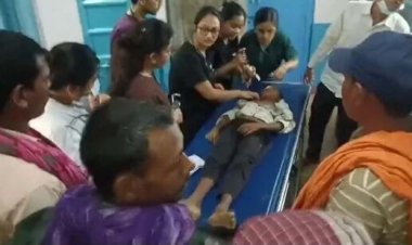 चाचा की तेरहवीं के दुसरे दिन TV का रिमोट ढूंढते समय 10 साल के बच्चे को जहरीले जीव ने डसा, हालत नाजुक, सदमे में परिवार, गांव में पसरा सन्नाटा