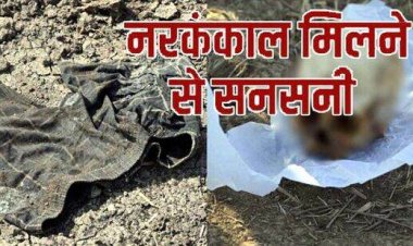 लापता मासूम बच्ची के मामले ने लिया डरावना मोड़, शमशान घाट के पास मिला नरकंकाल और कपड़े, नरबलि की आशंका से इलाके में फैली सनसनी