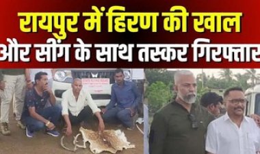 रायपुर में हिरन और चीतल की खाल के साथ तस्कर गिरफ्तार, ग्राहक तलाश रहे तीन आरोपियों को वन विभाग ने रंगे हाथ दबोचा