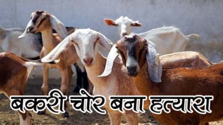 बकरियों की लालच में दरिंदों ने धारदार हथियार से ग्रामीण की ले ली जान, चार बकरियां चुराकर फरार, गांव में भय और आक्रोश का माहौल
