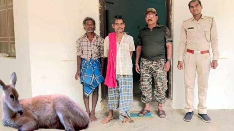 जंगल में कोटरी का शिकार कर पकाकर खाया, वन विभाग ने दी दबिश, दो शिकारी संतु राम और अलार गिरफ्तार, मांस और औजार बरामद