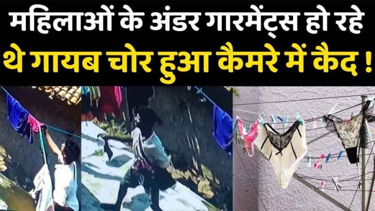 चोरी की अजीबोगरीब वारदात, छत में सूख रहे कपड़ों में से सिर्फ लड़कियों के अंडरगारमेंट्स लेकर चोर फरार, करतूत सीसीटीवी में कैद