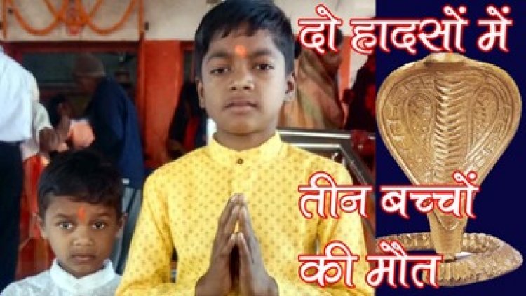 सांप के काटने से दो मासूम भाइयों की मौत, सदमे से मां की हालत बिगड़ी, इधर ट्रैक्टर ने बाइक सवार को मारी ठोकर, 8 साल की बच्ची की गई जान