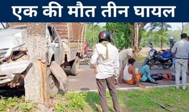 NH-130C पर भीषण हादसा, मोहेरा पुल के आगे पेड़ से टकराई तेज रफ्तार पिकअप, एक की मौत, तीन घायल, मची चीख-पुकार