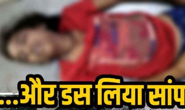 सोने के दौरान बालिका को सांप ने काटा, सर्पदंश से 14 वर्षीय बच्ची की मौत, परिवार में पसरा मातम, गांव में शोक का माहौल