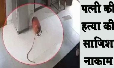 गैस सिलेंडर ब्लास्ट से पत्नी के मर्डर की साजिश नाकाम, पति की खौफनाक प्लानिंग बेनकाब, अस्पताल में भर्ती, जांच में जुटी पुलिस