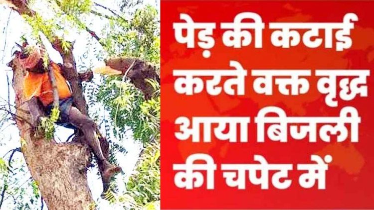 नीम पेड़ की कटाई के दौरान करंट की चपेट में आने से बुजुर्ग की मौके पर ही मौत, परिवार में पसरा मातम, जांच में जुटी पुलिस