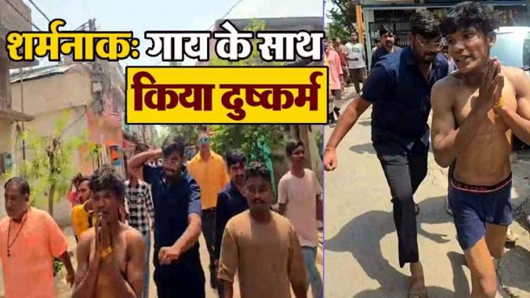 रायपुर में गौ माता के साथ दुष्कर्म, आक्रोशित लोगों ने युवक को अर्धनग्न कर निकाला जुलूस, सोशल मीडिया में वीडियो जमकर वायरल