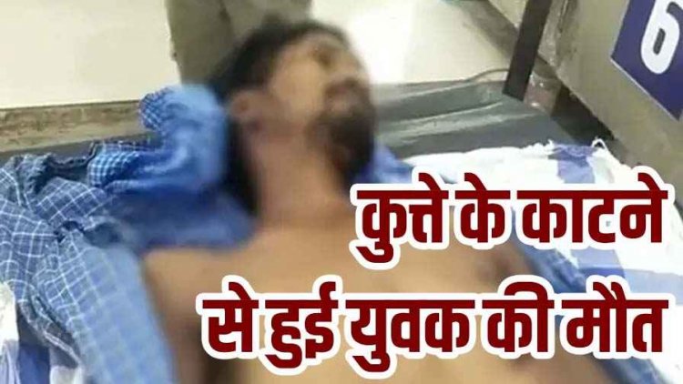 ढाई महीने पहले आवारा कुत्ते ने 4 लोगों को काटा, जड़ी-बूटी से करा रहे इलाज, डॉग के काटने से फैला रैबीज, युवक की मौत