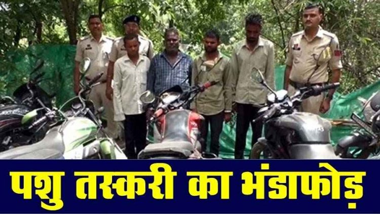 पशु तस्करी पर शिकंजा, पुलिस ने छापेमारी कर 37 मवेशियों को बूचड़खाने जाने से पहले 4 मवेशी तस्करों को गिरफ्तार कर भेजा जेल