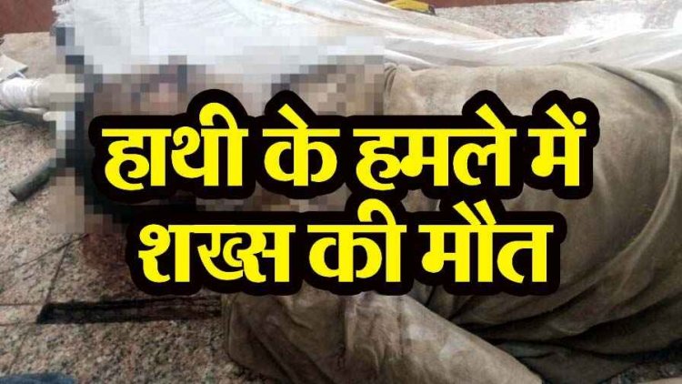 हाथी के हमले से युवक की दर्दनाक मौत, साथी ने भागकर बचाई अपनी जान, इलाके में फैली दहशत, इधर करंट की चपेट में आने से युवक की मौत