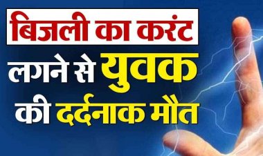 करंट लगाकर जंगली जानवरों का शिकार करने की कोशिश हुई जानलेवा साबित, युवक की मौत से गांव में मचा हड़कंप, जांच में जुटी पुलिस