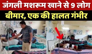 जंगली मशरुम खाने से एक ही परिवार के 9 लोग बीमार, एक की हालत नाजुक, मचा हड़कंप, जिला अस्पताल रेफर, जानिए पहचान के संकेत