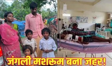 कबीरधाम में जहरीला मशरुम खाने के बाद एक ही परिवार के 4 लोग पड़े बीमार, मचा हड़कंप, सभी का अस्पताल में इलाज जारी