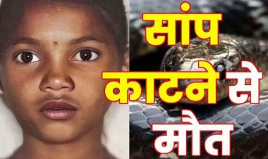 दादी के साथ बिस्तर पर सो रही 11 वर्षीय छात्रा की करैत सांप के काटने से इलाज के दौरान मौत, परिवार में पसरा मातम