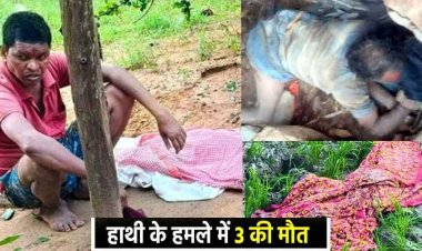 हाथियों का तांडव, रात में तीन ग्रामीणों की दर्दनाक मौत, इधर घटारानी में दंतैल हाथी की दस्तक से 12 गांवों में दहशत, सैलानियों की चहलकदमी बंद